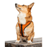 K9 Sport Harness