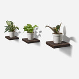 Chopped plant shelf