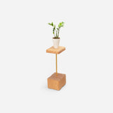 Stem plant holder