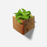 Triangle self-watering, wall-mounted planter