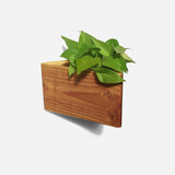 Triangle self-watering, wall-mounted planter