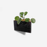 Triangle self-watering, wall-mounted planter