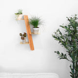 Wallflower plant shelf