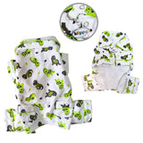 Playful Dinosaur Flannel Pajamas