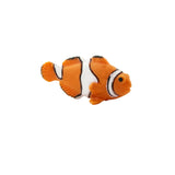 Clownfish