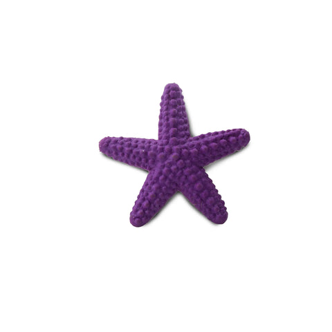 Starfish