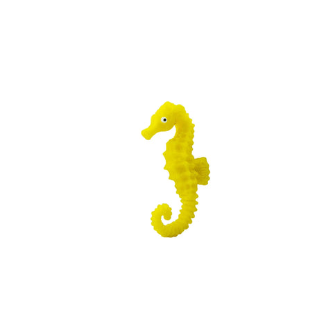 Seahorses