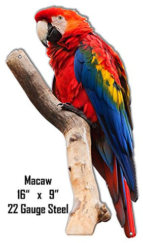 Macaw Animal Wall Art Laser Cut Out Sign 9x16