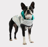 GF Pet Reversible Raincoat