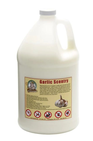 Just Scentsational Garlic Scentry Concentrate One Gallon