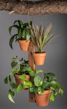 4 Pot Hanging Plant Holder