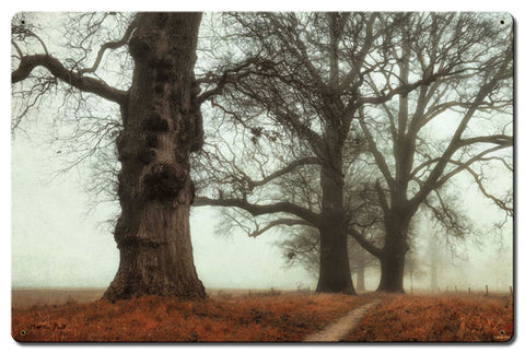 Trees In The Fog Vintage Sign Metal Sign