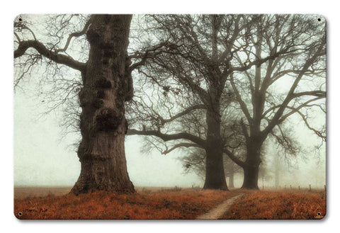 Trees In The Fog Vintage Sign Metal Sign