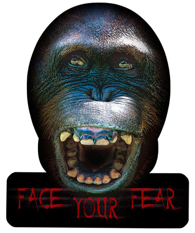 FACE YOUR FEAR Vintage Sign Metal Sign