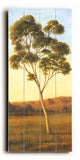 Lonely Eucalyptus I -  Wood Wall Decor by Cory Steffen 10 X 24