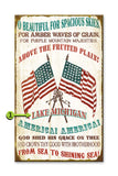 America the Beautiful, Personalized Metal 28x48