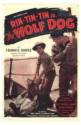 The Wolf Dog Movie Poster Print