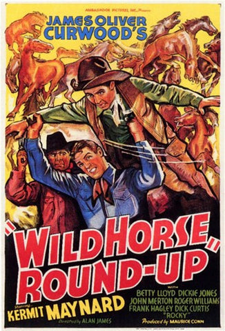 Wild Horse Round-Up Movie Poster Print