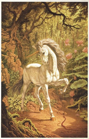 Unicorn Movie Poster Print