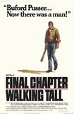 Walking Tall-Final Chapter Movie Poster Print