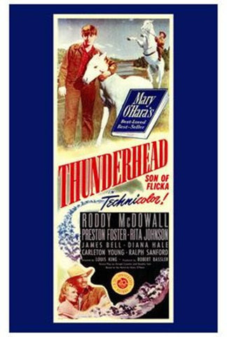 Thunderhead - Son Of Flicka Movie Poster Print