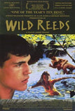 Wild Reeds Movie Poster Print