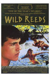 Wild Reeds Movie Poster Print