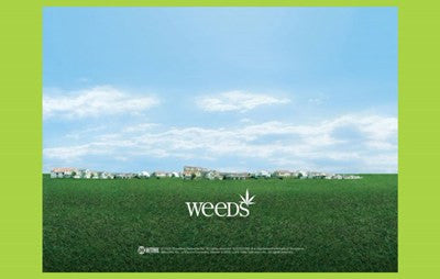 Weeds (TV) Movie Poster Print