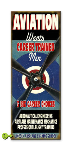 Aviation (Career Choices) Wood 14x36