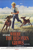 Where the Red Fern Grows Movie Poster Print