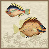 ArtFuzz Very Fishy Light Square 1 Wood Sign 20x20 Special