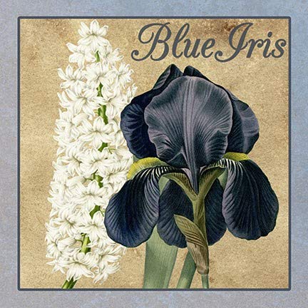 ArtFuzz Iris Reverie Square 4 Wood Sign 20x20 Special