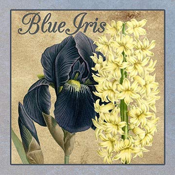 ArtFuzz Iris Reverie Square 1 Wood Sign 20x20 Special