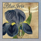 ArtFuzz Iris Reverie Square 3 Wood Sign 20x20 Special