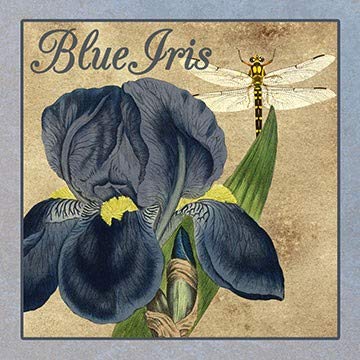 ArtFuzz Iris Reverie Square 3 Wood Sign 20x20 Special