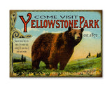 Yellowstone Park Bear Wood 23x31