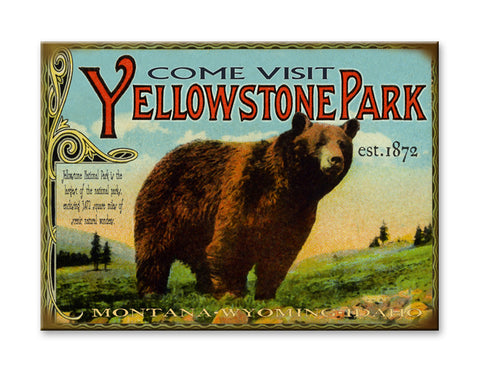 Yellowstone Park Bear Wood 28x38