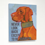 Never Look Back Except To Be Thankful Canvas by Ursula Dodge 11 X 14