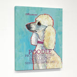 Poodle 2 Canvas by Ursula Dodge 11 X 14