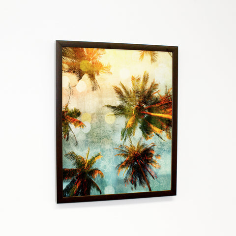 Palm Tree Gazer - Multi - Walnut Canvas Image Box by OBC 11 X 14