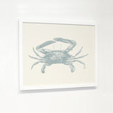 Natural Crab - Blue - White Canvas Image Box by OBC 11 X 14