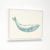 Natural Whale - Blue White Floating Frame by OBC 11 X 14