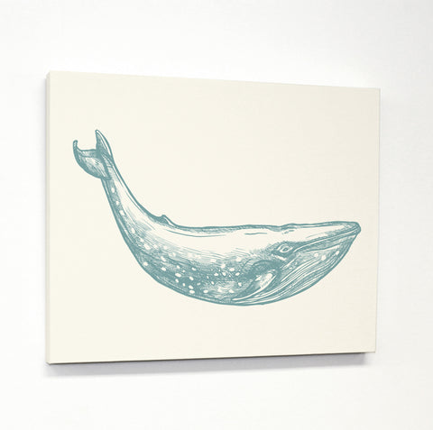 Natural Whale - Blue Canvas by OBC 11 X 14