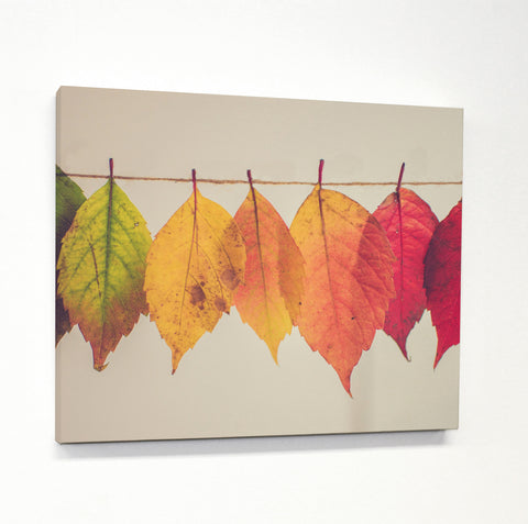 Leaf Spectrum - Multi Canvas by OBC 11 X 14