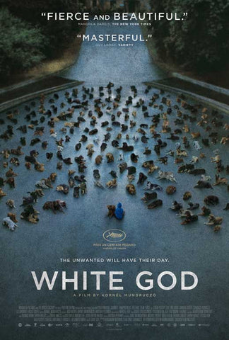 White God 11 x 17 Movie Poster - Style A