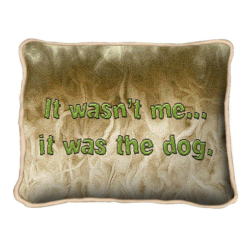 Wasn't Me Pillow